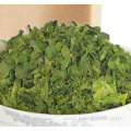 High quality dehydrated spinach leaves 5*5mm